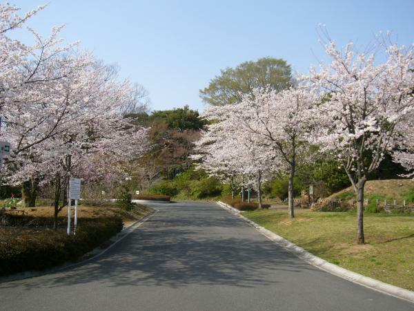 提供：公益社団法人栃木県観光物産協会