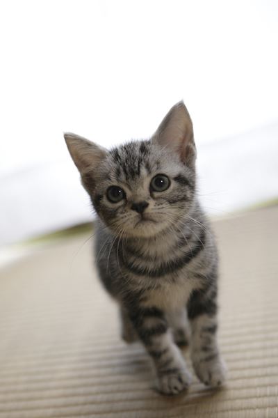 (C)2011「キミとボク」製作委員会