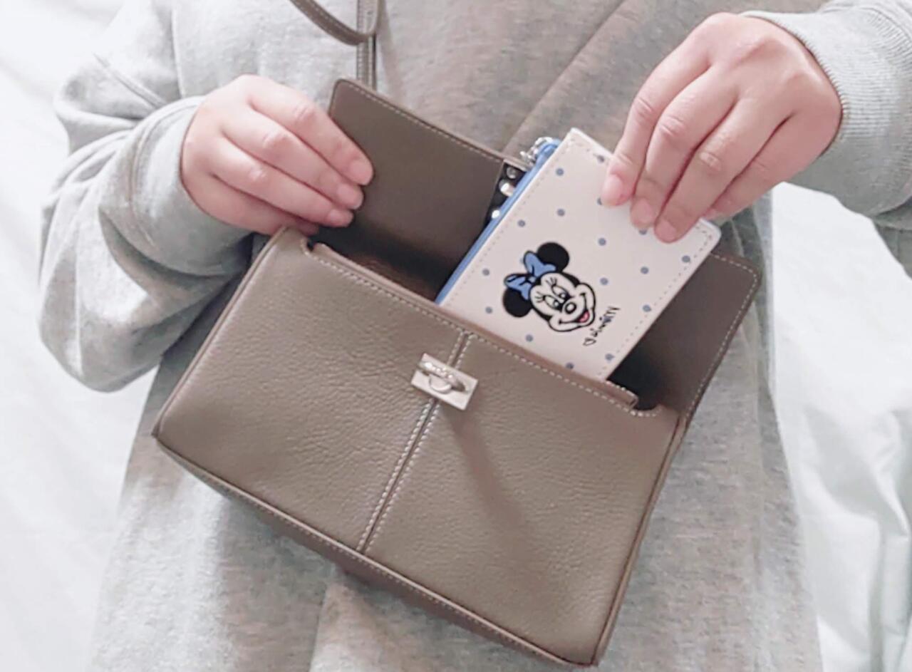 ディズニー付録レビュー】ミニーのこだわり刺繍が可愛すぎる～！ 高