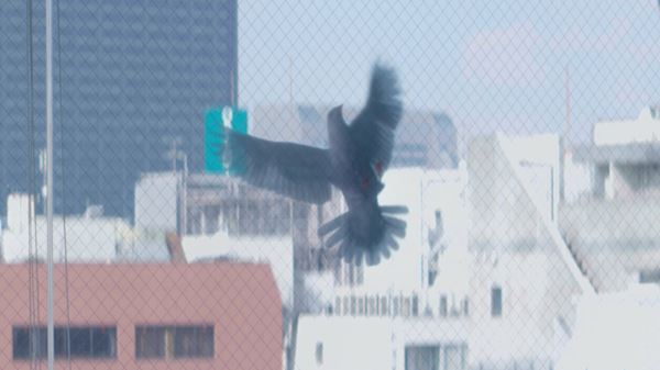 /shared/materials/bd7500ac-29ba-4f4c-b28d-564bb4ce9868/thumbnail