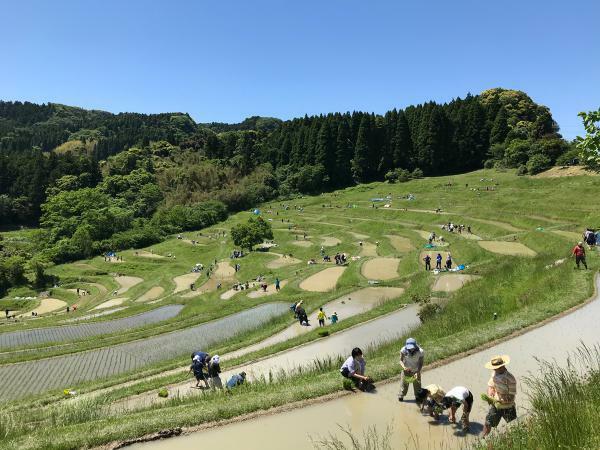 （c）特定非営利活動法人大山千枚田保存会