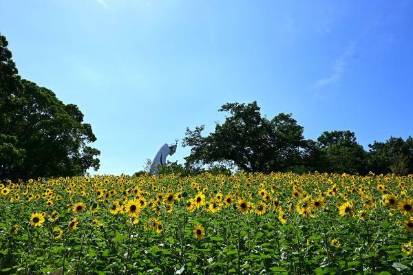 提供：万博記念公園マネジメント・パートナーズ