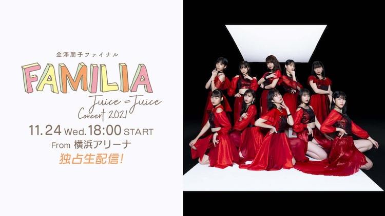 Juice=Juice 鋭かっ 金澤朋子 卒業コンサート Blu-ray