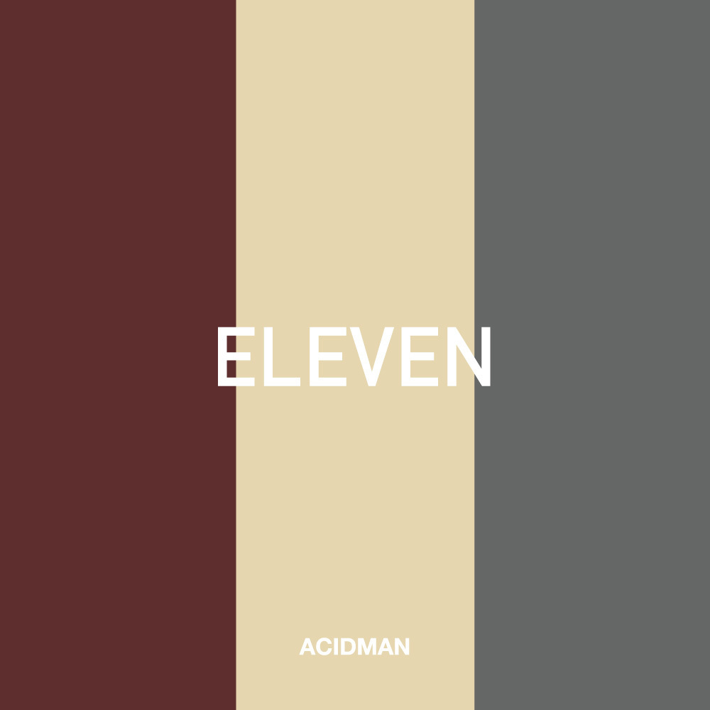 ACIDMAN LIVE DVD「ELEVEN」
