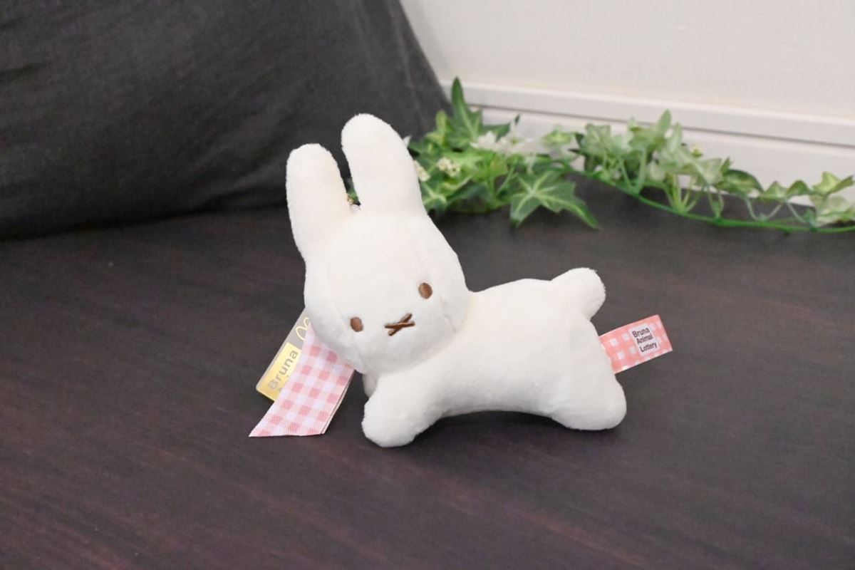 ブルーナアニマル ファミリーマート くじ ファミマに急げ♪ミッフィー