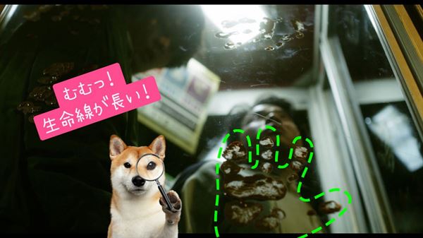 (C)2020「犬鳴村」製作委員会