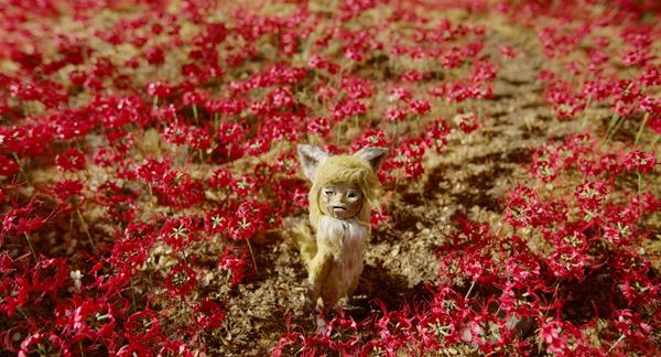 (C)TAIYO KIKAKU Co., Ltd. ／ EXPJ, Ltd