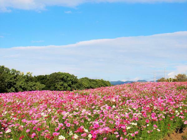 提供：万博記念公園マネジメント・パートナーズ