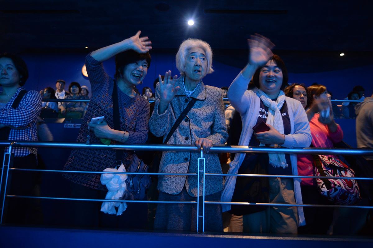 オキナワへいこう・画像・写真 ぴあ映画