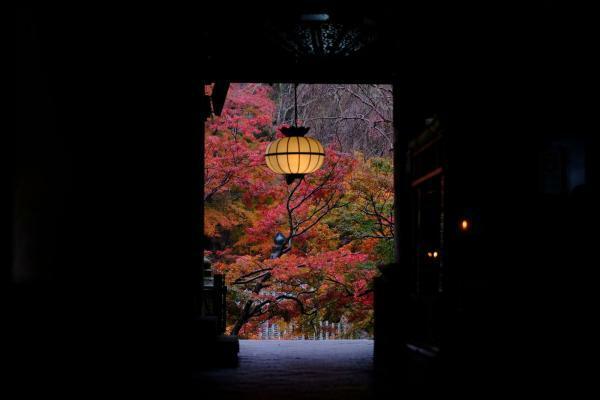 提供：奈良長谷寺