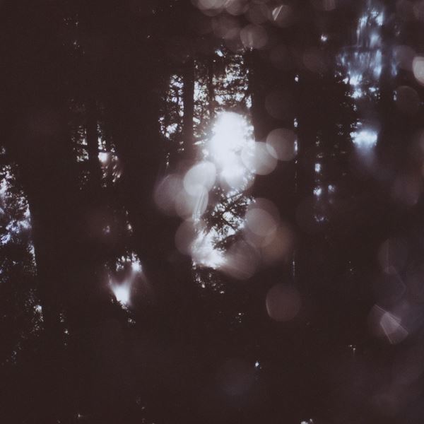 /shared/materials/c535a277-6e84-4a7e-879a-8c64c6b071ee/thumbnail