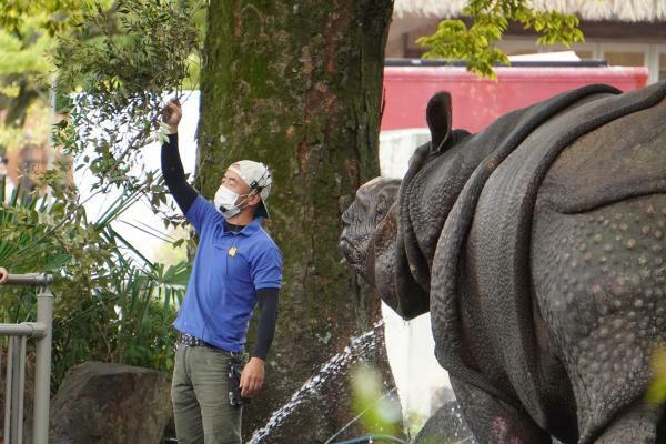 提供：名古屋市東山動植物園