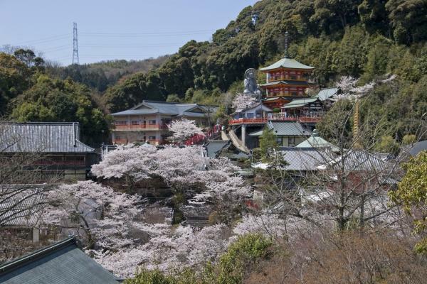 提供：信貴山朝護孫子寺