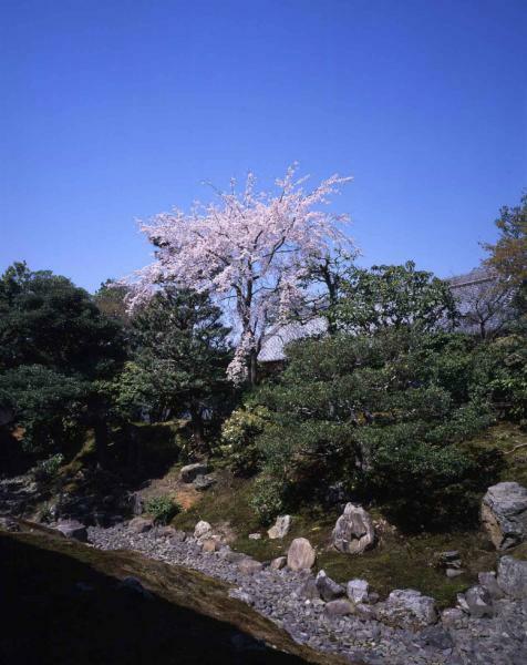 提供：相国寺　※転載禁止