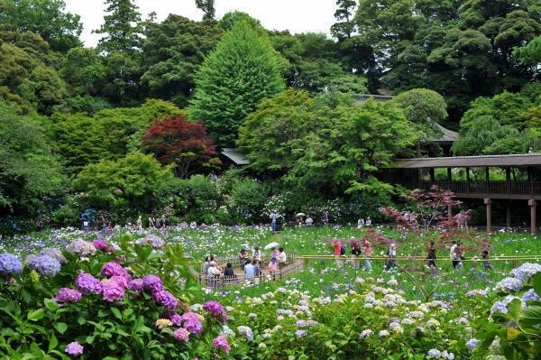提供：公益社団法人千葉県観光物産協会