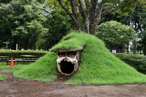 /shared/materials/c8ea19a1-315c-4f2c-b416-e3d6af7469ea/thumbnail