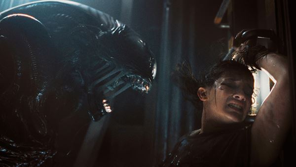 /shared/materials/c9839c98-8ac9-4d63-b050-669e09dfeed1/thumbnail