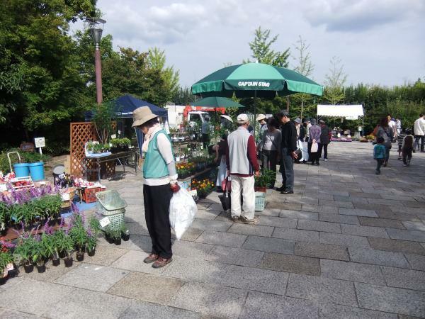 提供：京都市都市緑化協会