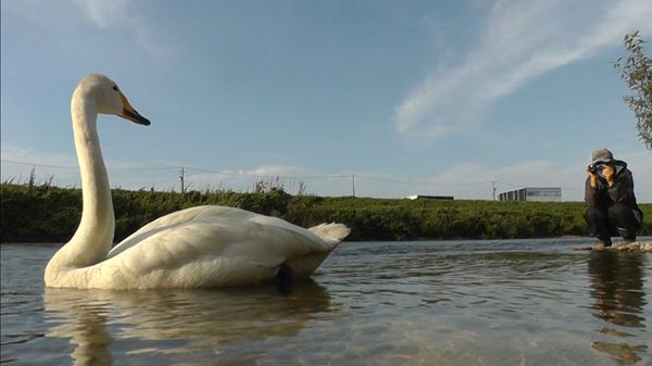 (C)2021映画『私は白鳥』製作委員会