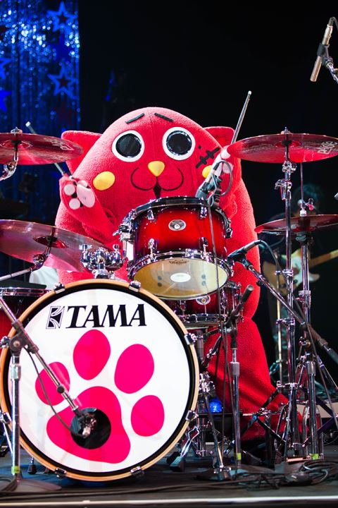 Special Opening Act:にゃんごすたー