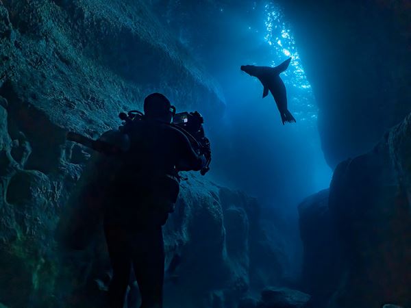 (C)2025 Disney Enterprises, Inc. All Rights Reserved.