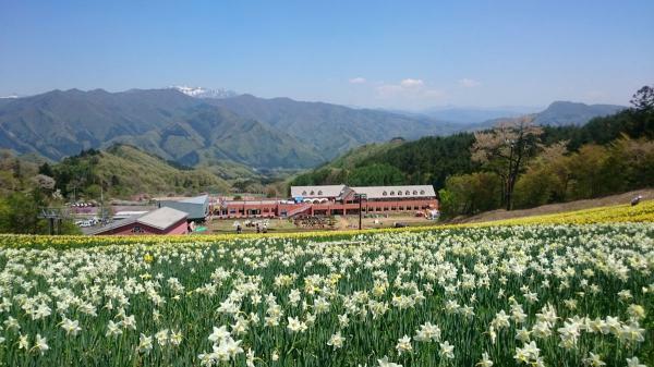 春の花園 ノルンみなかみフラワーガーデン オープン ぴあエンタメ情報