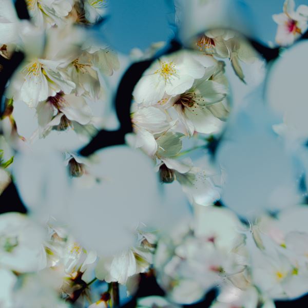 /shared/materials/d162f0cc-f943-4dfd-b36d-6723ec9ed688/thumbnail