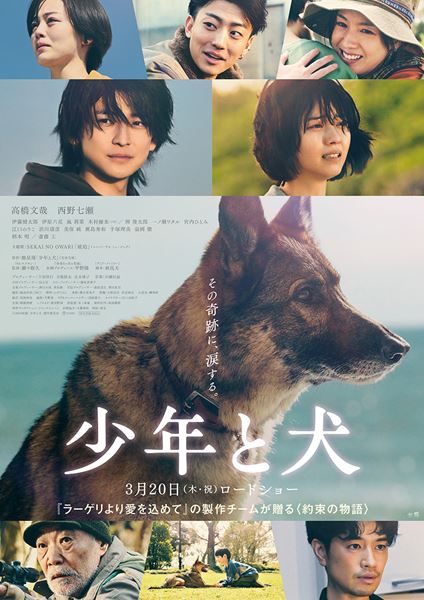 私のこだわり人物伝 2008年2―3月 Amazon.co.jp: 私のこだわり人物伝 2008年8-9月 (NHK知るを