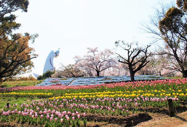 提供：万博記念公園マネジメント・パートナーズ