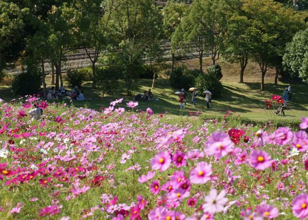 （c）神戸総合運動公園