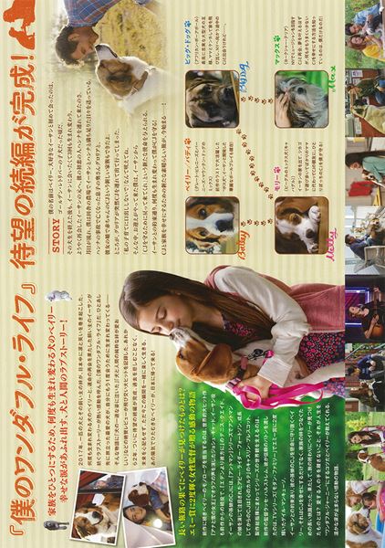 (C)2019 Storyteller Distribution Co., LLC, Walden Media, LLC and Alibaba Pictures Media, LLC.