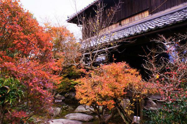 花咲之庄の紅葉 ぴあエンタメ情報