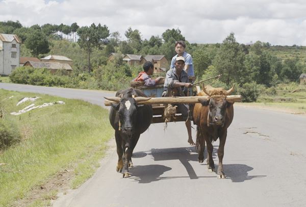 (C)2017「ナオト・インティライミ冒険記2」製作委員会