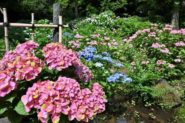 提供：万博記念公園マネジメント・パートナーズ