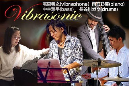 Vibrasonic