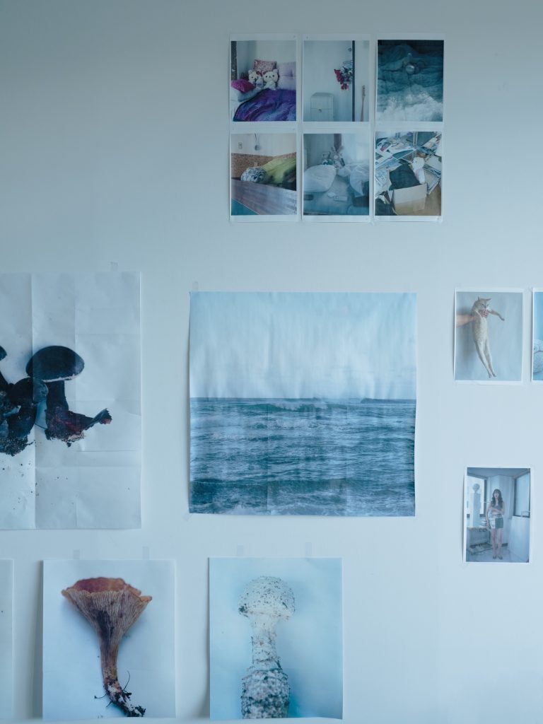 ホンマタカシ(Takashi Homma)/ M ホンマタカシ「2025年のホンマタカシ」 | ぴあエンタメ情報