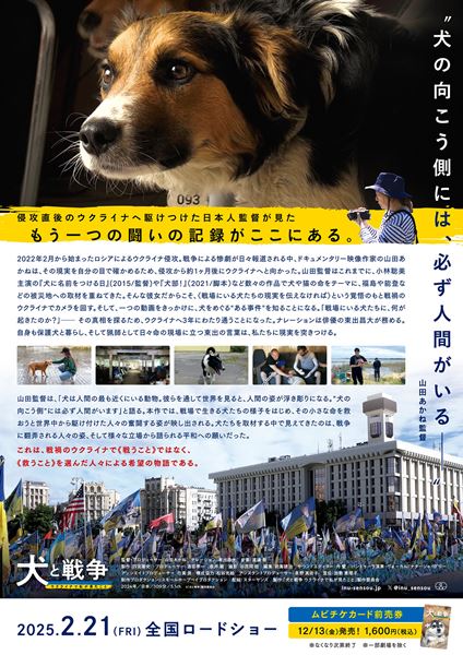 (C)『犬と戦争』製作委員会