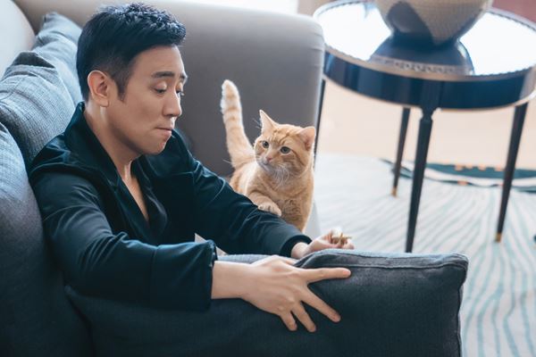 (C)北京真楽道文化伝播有限公司/北京海潤影業股分有限公司/チームジョイ株式会社