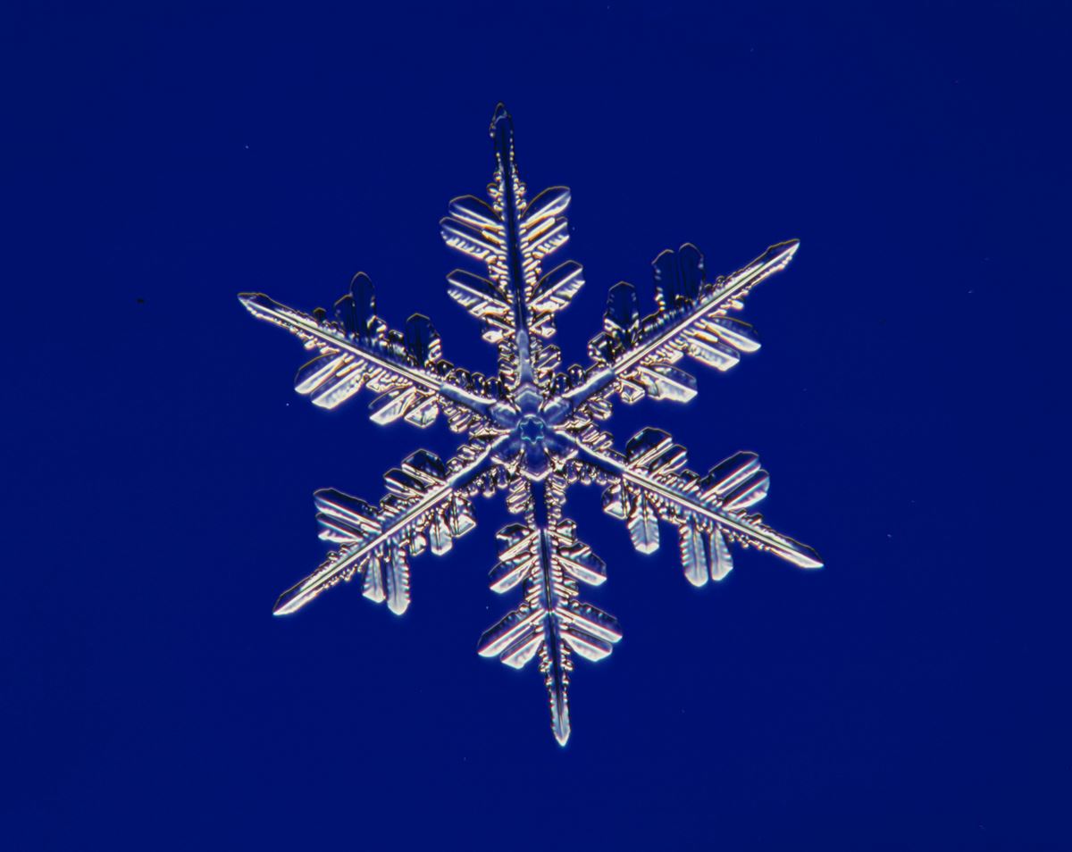 企画展 吉田六郎写真展「雪の結晶」