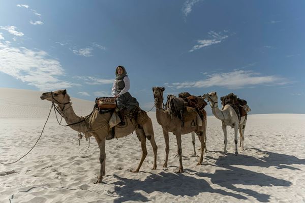 /shared/materials/d97298f1-1b7f-4586-9c75-c63a5b937ded/thumbnail