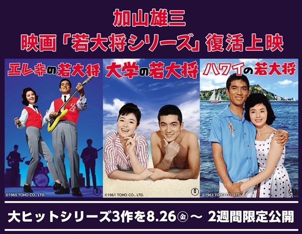 /shared/materials/da9a8ba1-5c96-4cf1-a0e8-5bc2cf47aede/thumbnail