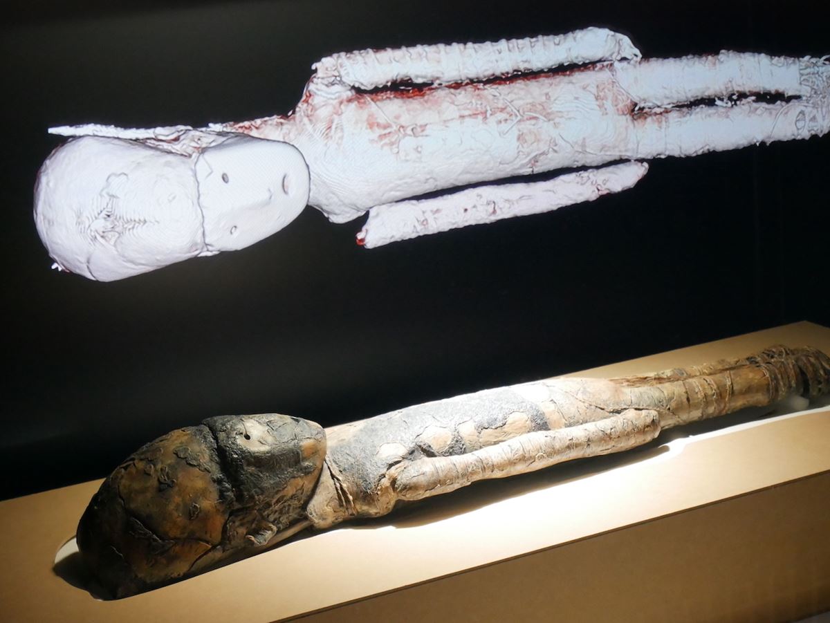 国立科学博物館『特別展ミイラ〜「永遠の命」を求めて』 《チョンチョーロ文化のミイラ》　紀元前3200年頃　オリジナルはバルパライソ自然史博物館所蔵