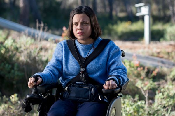 (C)SUBETE AL TREN 2019