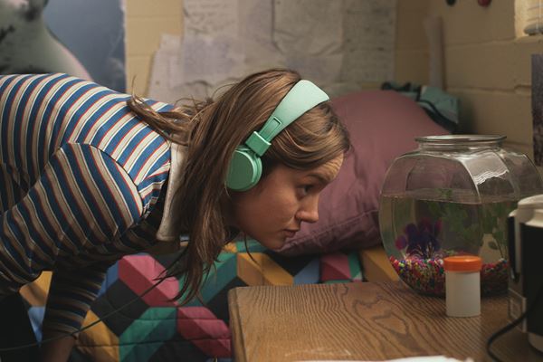 (C)2013 Short Term Holdings, LLC. All rights reserved.