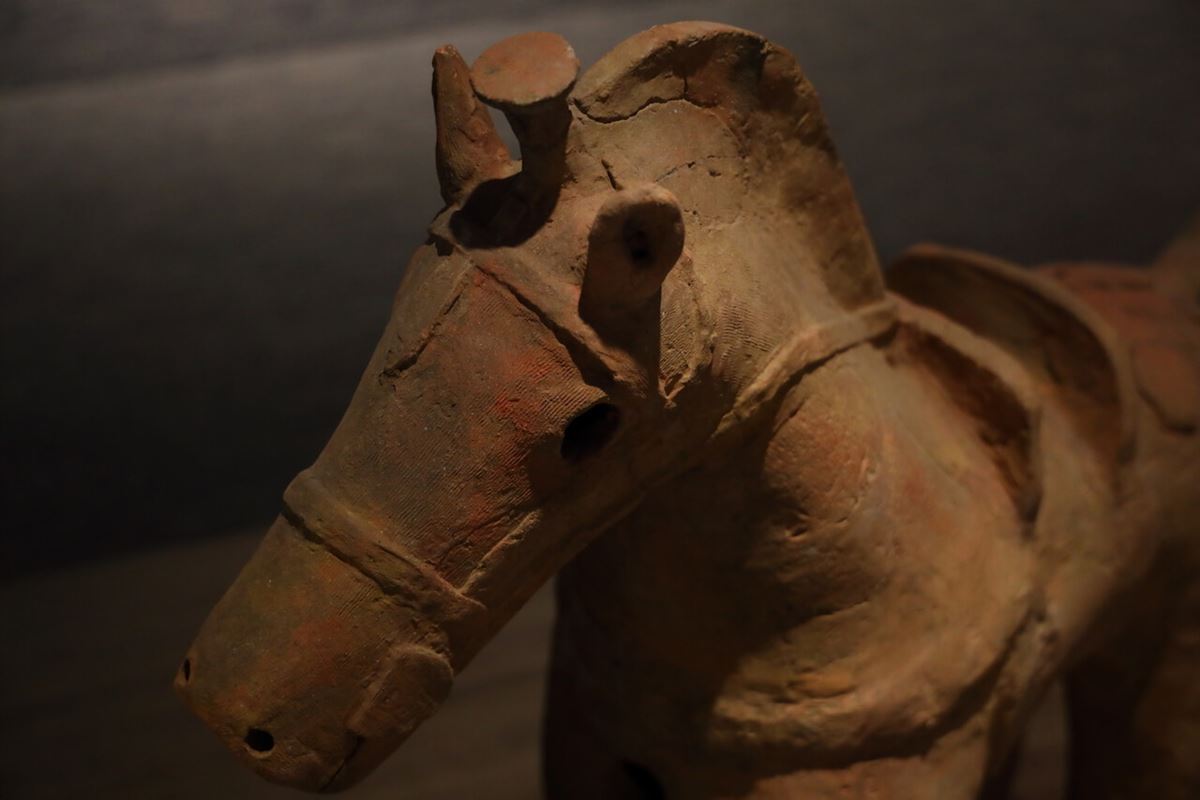 《馬形埴輪》　古墳時代（後期）・6世紀　國學院大學博物館蔵