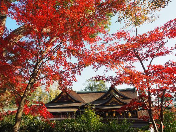 提供：北野天満宮