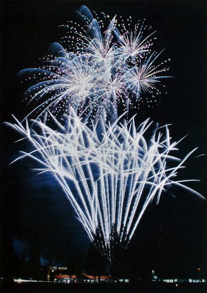 デンパーク サマーイルミ 花火ショー ぴあエンタメ情報