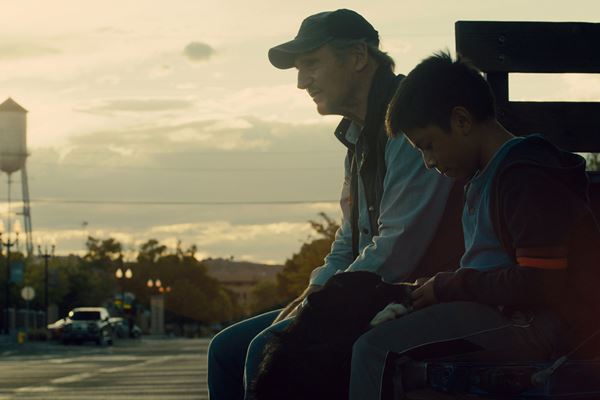 (C)2020 AZIL Films, LLC. All Rights Reserved.