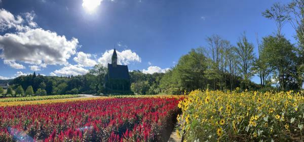 （c）ひるがの高原　牧歌の里