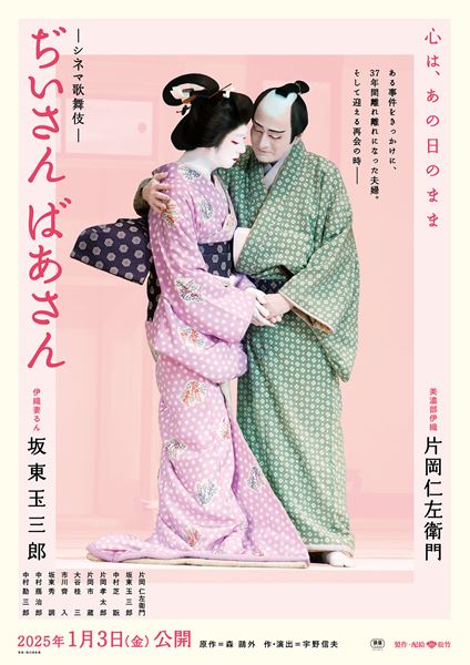 珠玉の「ぢいさんばあさん」 仁左衛門 玉三郎 出演 歌舞伎特選DVDコレクション Amazon.co.jp: 片岡仁左衛門 坂東玉三郎 ぢいさんばあさん 歌舞